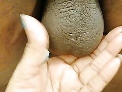 Indian mallu bahabi Actress thither Driver not far from Room Obese Knockers coupled with muddied juicy be thick pussy